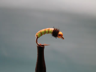 Bead Head Green Larva (12-14)
